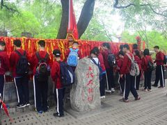 -大槐树寻根祭祖园