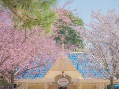 -上海迪士尼度假区