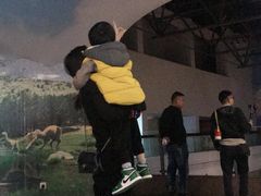 -自贡恐龙博物馆