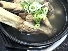 -莲洞本家
