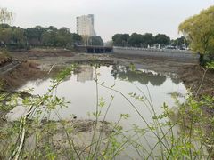 -中央公园(苏州工业园区)