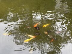 -国恩寺