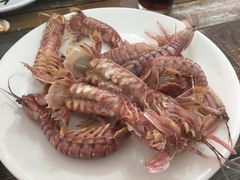 -烁佳海鲜大馅饺子