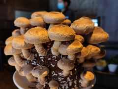 活体菌菇-捞王锅物料理(凯旋路店)