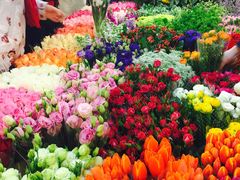 -双季花艺园艺市场(浦东店)