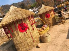 -塔川景区