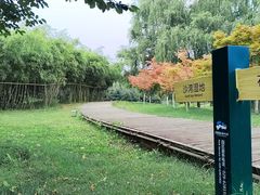 -西安浐灞国家湿地公园