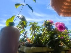 -小王府(什刹海店)