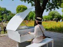 -鹅湖玫瑰文化园