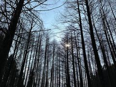 -山王坪喀斯特国家生态公园
