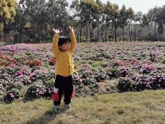 -广东花都香草世界旅游度假区