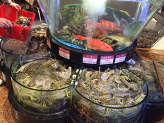 iphone_upload_pic-陶陶居海鲜酒家(新马路店)