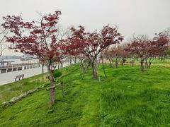 -上海山野camping·户外天幕烧烤·团建拓展营地