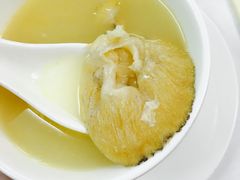 -新陶陶酒家
