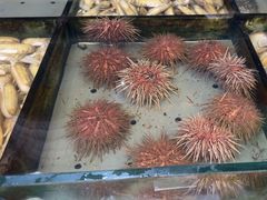 -小铜锣湾海鲜家常菜馆(河西店)