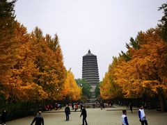 -玲珑塔公园