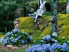 -MOJ coffee(瓯海泽雅水碓坑店)