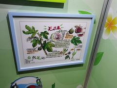 -上海昆虫博物馆