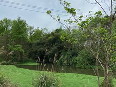 -桤木河湿地公园