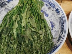 -鸽子窝(青塔店)