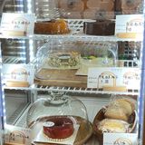 长春探店｜小巧精致的面包🥯咖啡店｜食节甜品