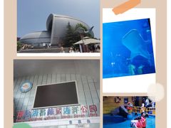 -烟台海昌鲸鲨海洋公园