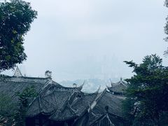 -南山植物园