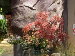 -耕海蟹将军(万象城店)