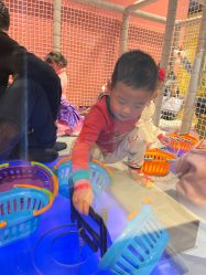 -贝乐鸥主题乐园(锦城万达广场店)