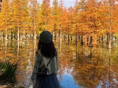 -白鹭湾湿地公园