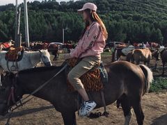 -塞罕坝国家级自然保护区