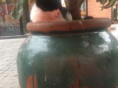 -歌神量贩式KTV(金谊店)