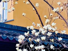 -龙华寺