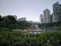 -江头公园