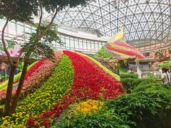 -花之城
