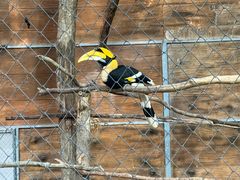 -清迈夜间动物园