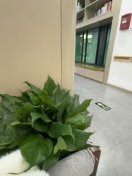 -郑州万安妇产医院