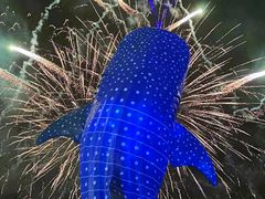 -珠海长隆海洋王国