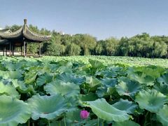 -高子水居