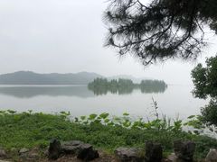 -东湖落雁景区