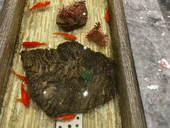 -令氏家外家岐山面(火炬路店)