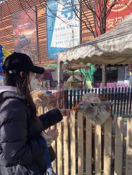 -萌宠亲子动物乐园(槐房万达店)