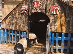 -沈阳森林动物园