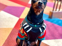 -奔驰上海利星(七宝店)