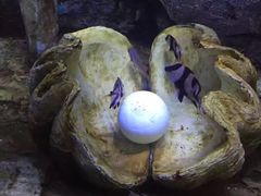 -北海·海洋之窗