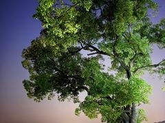 -楼外楼(西湖景区孤山路店)