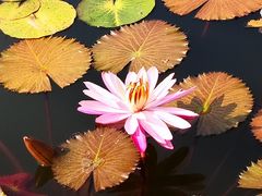 -国家植物园南园