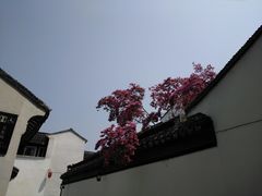 -同里国家湿地公园