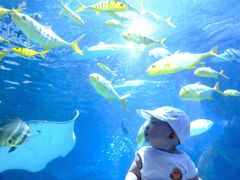 -太平洋海底世界