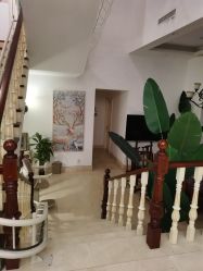 -禧悦府国际月子会所(总店)